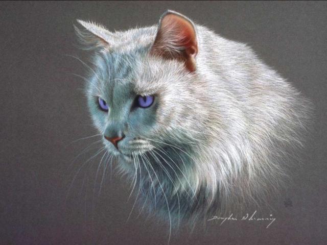 Белая кошка вышивка схема Белая кошка вышивка схема