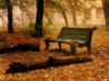 Скамейка в парке осенью: оригинал