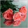 Схема вышивки «Красивый букет роз»