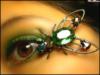Схема вышивки «Зеленый глаз»