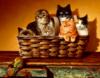 Схема вышивки «Кошки в корзине»