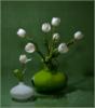 Белые тюльпаны: оригинал