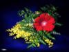 Красный цветок и мимоза: оригинал