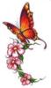 Схема вышивки «Бабочка и цветы»