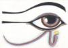 Схема вышивки «Глаз»