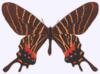 Схема вышивки «бабочка 16»
