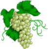 Схема вышивки «Зеленый виноград»