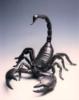 Схема вышивки «Черный скорпион»