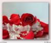 Схема вышивки «Red rose»
