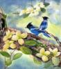 Схема вышивки «Синие птицы»