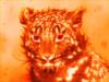 Схема вышивки «Огненный леопард»