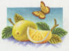 Схема вышивки «Лимончики»
