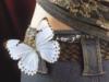 Схема вышивки «Белая бабочка»