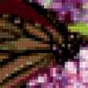Бабочка на цветах: предпросмотр