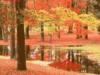 Схема вышивки «Осень в парке»