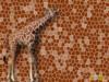 Схема вышивки «Мозайка жираф»
