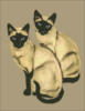 Схема вышивки «Сиамские кошки»