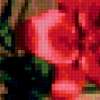 Красные лилии.: предпросмотр