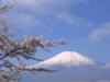 Схема вышивки «Гора Фудзияма и цветение сакуры»