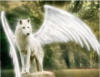 Схема вышивки «Волк-ангел»