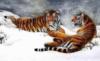 Схема вышивки «Тигры на снегу»