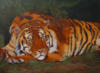 Схема вышивки «тигр на отдыхе»