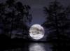 Схема вышивки «Ночь.Луна»