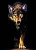 Схема вышивки «Волчья злость»