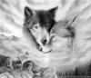 Схема вышивки «Волчья верность»