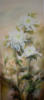 Схема вышивки «Белые хризантемы»