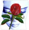 Схема вышивки «Плачущая роза»