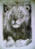 Схема вышивки «Портрет льва»