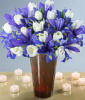 Схема вышивки «Белые тюльпаны и фиолет.ирисы»