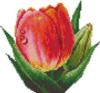 Схема вышивки «Подушка "Бутон тюльпана"»