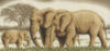 Схема вышивки «Семья слонов»