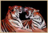Схема вышивки «Бенгальские тигры»