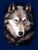 Схема вышивки «Задумчивый волк»