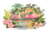 Схема вышивки «Flamingovyj raj»
