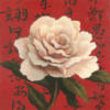 Схема вышивки «Китайская роза»
