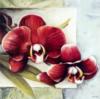 Схема вышивки «Красные орхидеи»