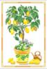 Лимонное дерево: оригинал