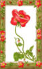 Схема вышивки «Прекрасный цветок»