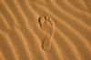 Схема вышивки «Foot in the desert»