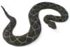 Схема вышивки «Diamondback Snake»