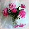 Схема вышивки «Букет розовых пионов»