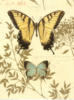 Схема вышивки «Две бабочки»