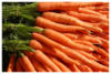 Морковь: оригинал