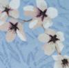 Схема вышивки «Орхидея на голубом фоне»