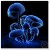 Схема вышивки «Blue Mushrooms»
