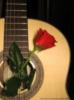 Гитара с розой: оригинал